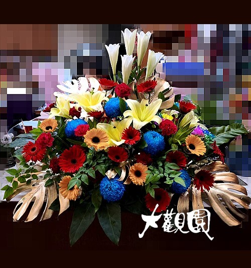 精緻盆花 祝賀盆花 喜慶桌上花 會場佈置盆花