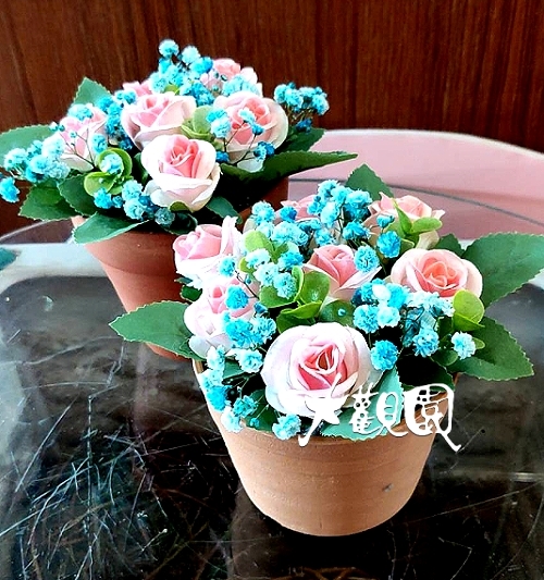 精緻乾燥花盆花 時尚盆花