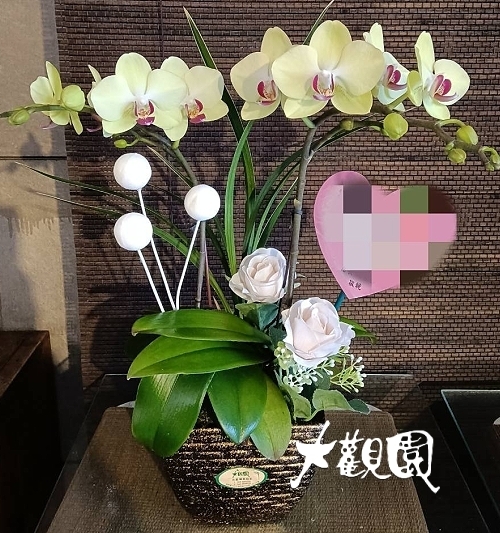 蘭花組合- 弔唁花禮 追思高貴蘭花