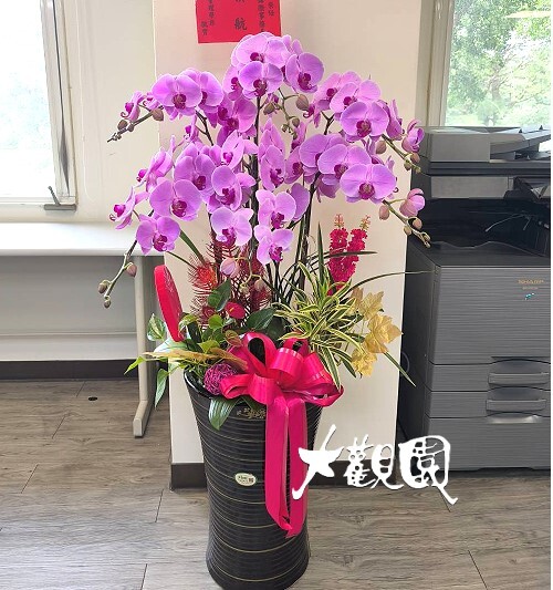 蘭花組合盆栽 招財進寶 喬遷之喜 榮陞誌喜盆栽