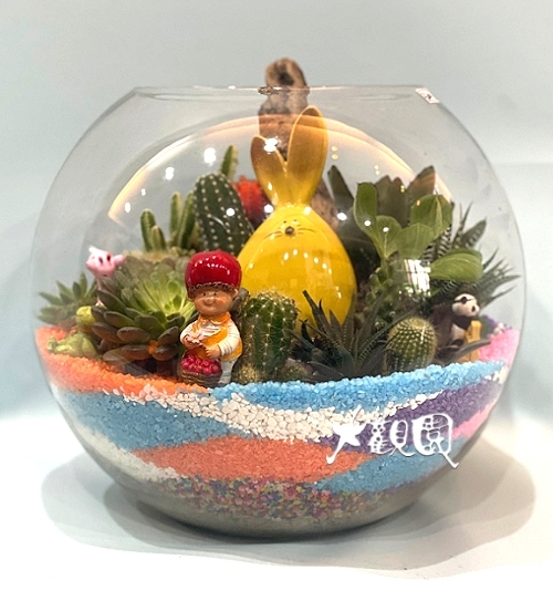 多肉植物 辦公室 療癒盆栽 玻璃圓球觀葉組合盆栽