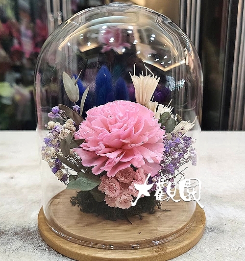 乾燥花 玻璃圓球型