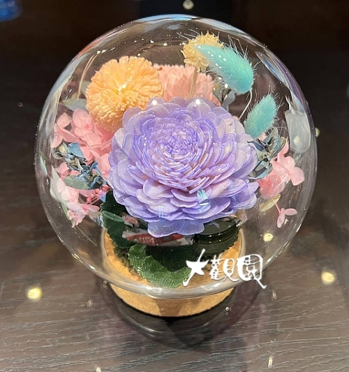 乾燥花 玻璃圓球型