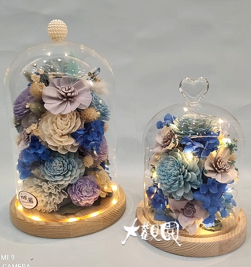乾燥花 花罩鐘