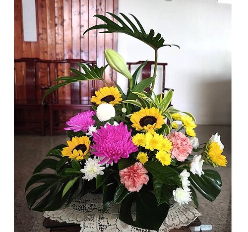 精緻盆花 祝賀盆花 喜慶桌上花 會場佈置盆花